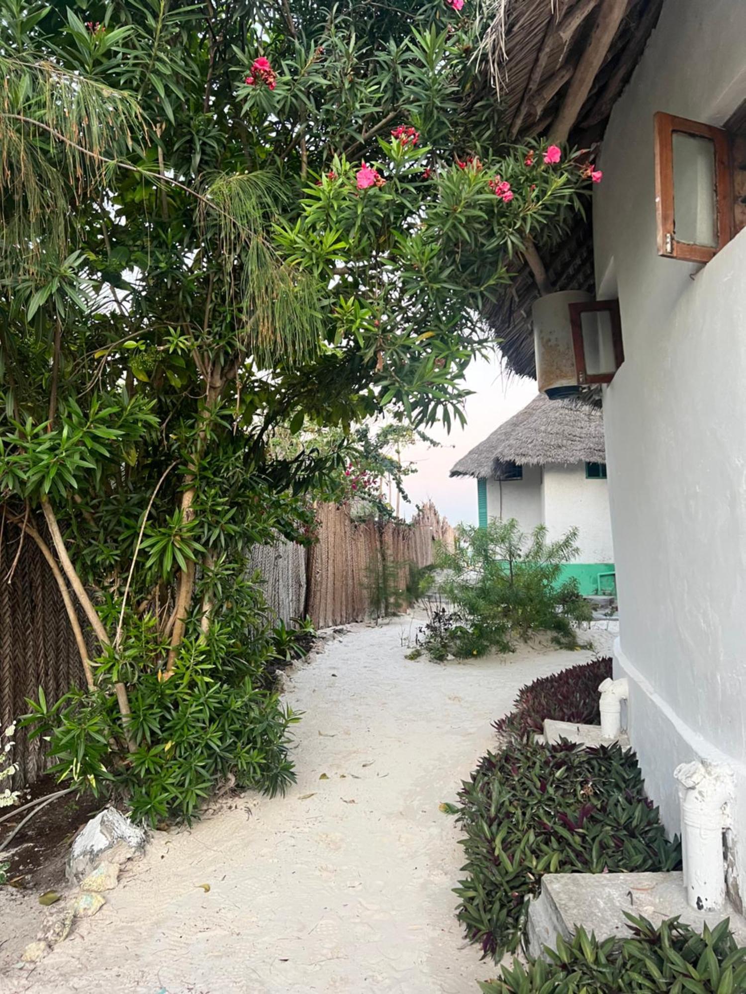 ホテル Duara Beach House パジェ エクステリア 写真